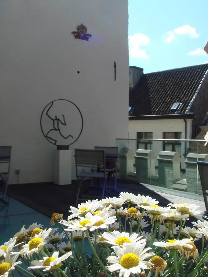 Couette-café B&B Huis 'T Schaep Bruges